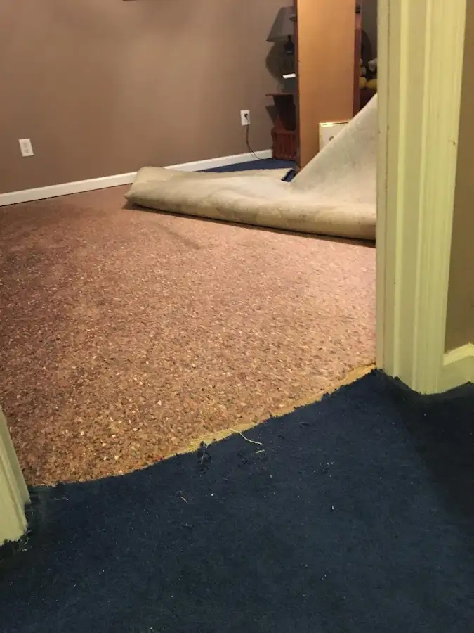 Carpet pad removal revealing water damage during Drying & Dehumidification in Weston